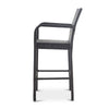 Outdoor Barstool Chair Set of 2, Gray PE Rattan Woven, Iron