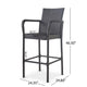Outdoor Barstool Chair Set of 2, Gray PE Rattan Woven, Iron