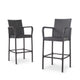 Outdoor Barstool Chair Set of 2, Gray PE Rattan Woven, Iron