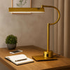Hoso 18 Inch Desk Lamp, 2 USB Ports, AdjusDesk Bronze Metal Frame