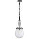 Cora 8 Inch Pendant Light w Gray Gold Chain Fluted Raindrop Glass BM323979