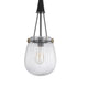 Cora 8 Inch Pendant Light w Gray Gold Chain Fluted Raindrop Glass BM323979