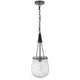 Cora 8 Inch Pendant Light w Gray Gold Chain, Fluted Raindrop Glass