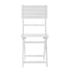 Cami Outdoor Foldable Dining Chair Set of 2, Slatted White