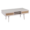Camy Coffee Table, Brown Cane Woven Doors, Open Shelf, White 48"