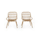 Hexy Outdoor Accent Chair Set of 2, Boho Style Faux Rattan Woven Brown