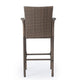 Drip Outdoor Barstool Chair Set of 2, Brown PE Rattan Woven and Iron