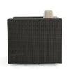 Perie Outdoor Swivel Accent Chair, Beige Fabric and Dark Brown Rattan