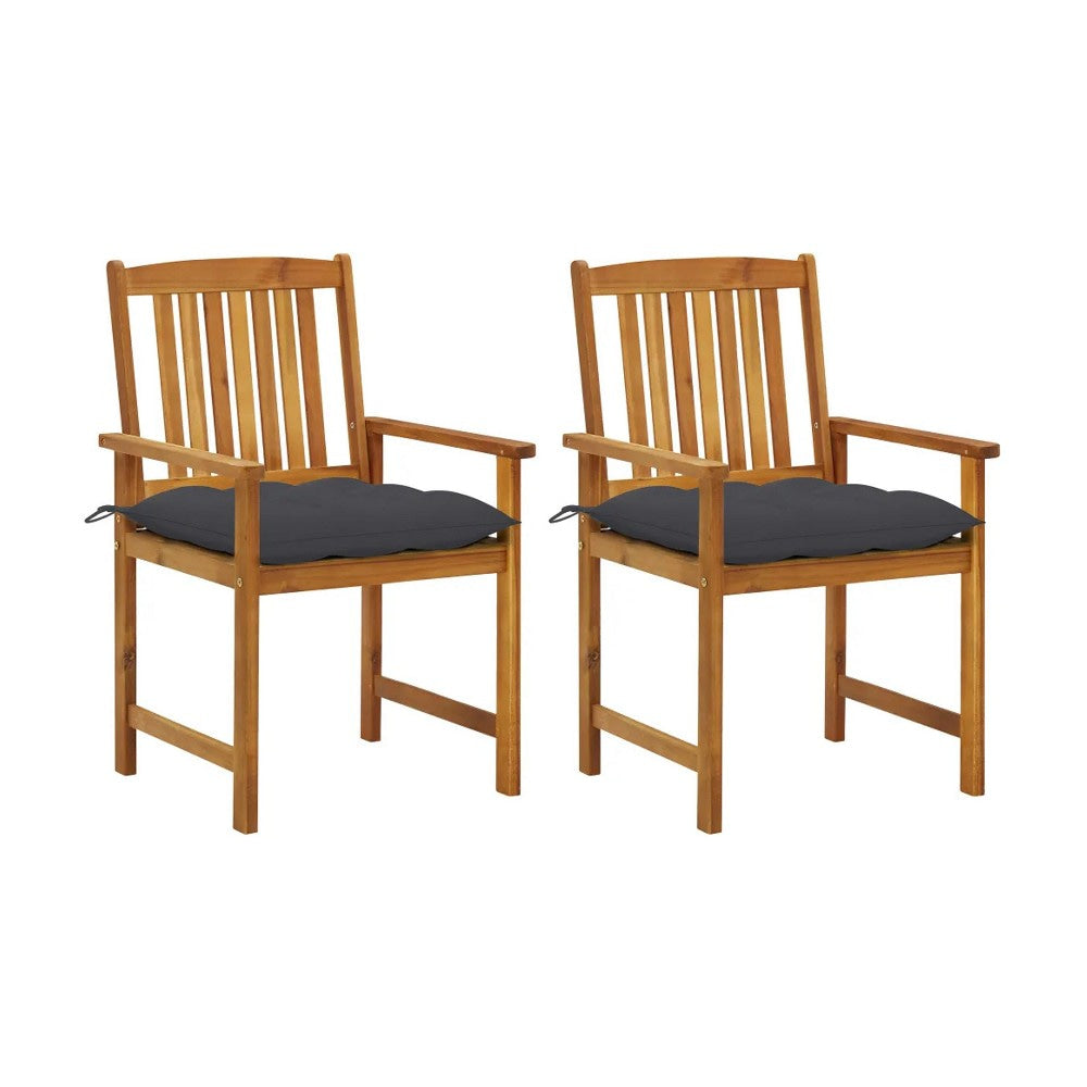 Blaire Outdoor Chair Set of 2, Charcoal Gray Fabric, Brown Acacia Wood