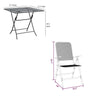 Zofi 3pc Outdoor Dining Chair and Table Set, Foldable Mesh Gray Metal