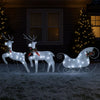 4pc Outdoor Reindeer n Sleigh Christmas Decoration, 100 White LEDs