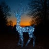 Outdoor Reindeer Christmas Decoration, 140 Cool White LED Lights
