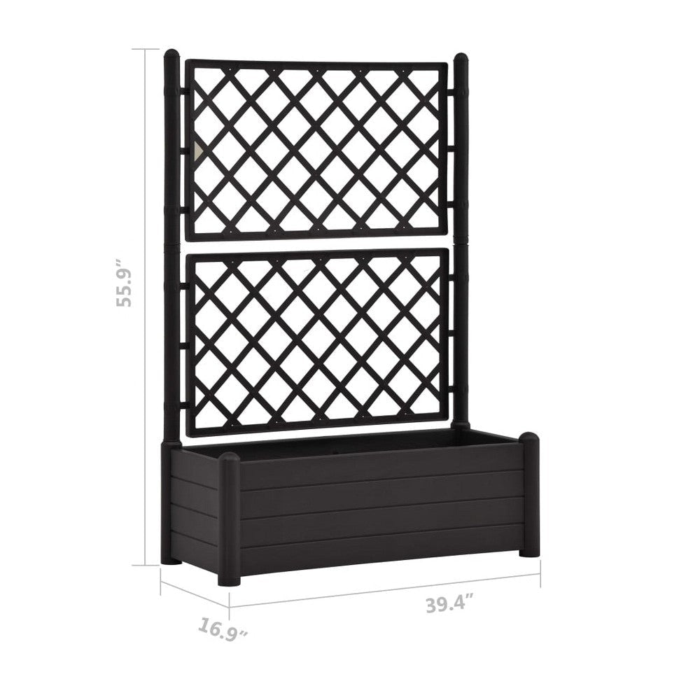 Simi Garden Flower Planter with Trellis Anthracite Gray 17x40x56 BM325664