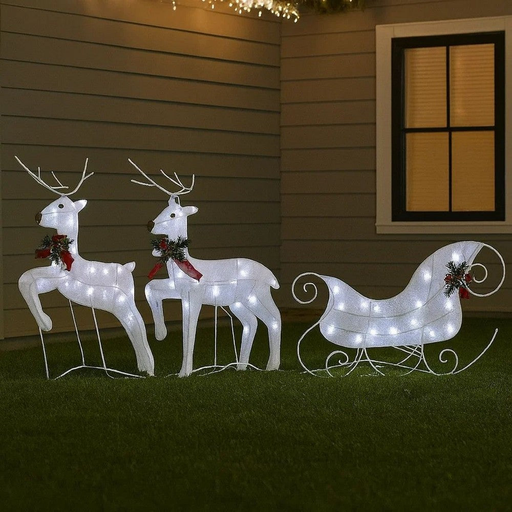 Garden 2pc Reindeer and Sleigh Christmas Decoration, 60 LEDs, White