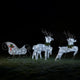Outdoor Christmas Reindeer and Sleigh Decoration, 60 Silver LED Lights