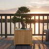 Outdoor Planter, Raised Design, 20 Inch Natural Brown Bamboo Finish