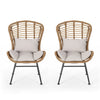 Slay Outdoor Accent Chair Set of 2, 25", Brown Woven Rattan, Iron