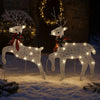 Edy Outdoor Christmas  Decoration Set of 2, 40 Gold LEDs White