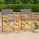 Outdoor Folding Directors Accent Set of 2, Gray, Acacia Wood