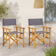 Outdoor Folding Directors Accent Set of 2, Gray, Acacia Wood