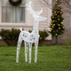 2pc Outdoor Christmas  Decor, 40 Cool White LEDs, Acrylic