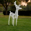 2pc Outdoor Christmas  Decor, 40 Cool White LEDs, Acrylic