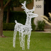 2pc Outdoor Christmas  Decor, 40 Cool White LEDs, Acrylic