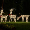 Edy 6pc Outdoor Christmas  Decor Set, 180 Cool White LEDs
