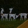Edy 6pc Outdoor Christmas  Decor Set, 180 Cool White LEDs