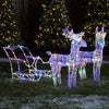 2pc Outdoor ,  Christmas Decoration, 160 Multicolor LEDs
