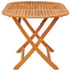 Nila Folding Outdoor Dining Table | 63" Slatted Oval Brown Wood Top