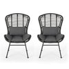 Outdoor Round Accent Chair Set of 2 | Gray Faux Rattan | Black Iron
