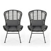 Outdoor Round Accent Chair Set of 2, Gray Faux Rattan, Black Iron