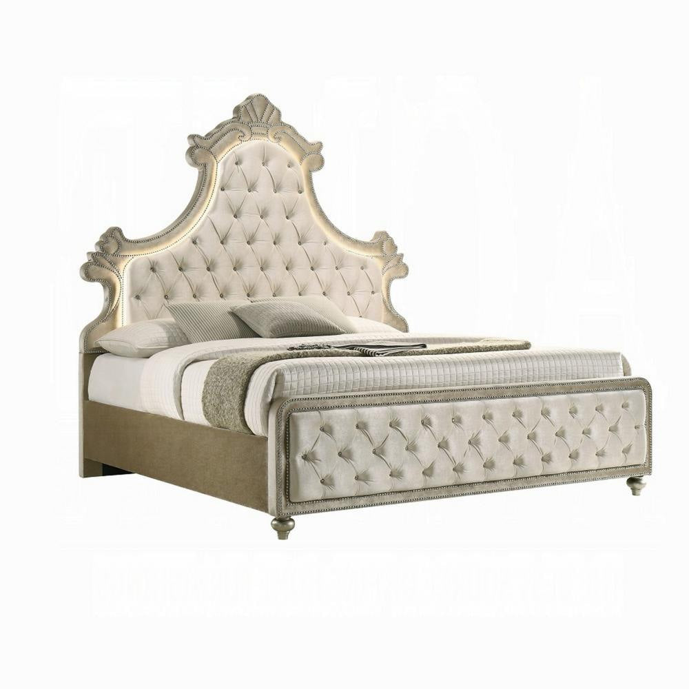 Willa Queen Size Bed, LED Lights, Beige Velvet Upholstery, Brown Wood