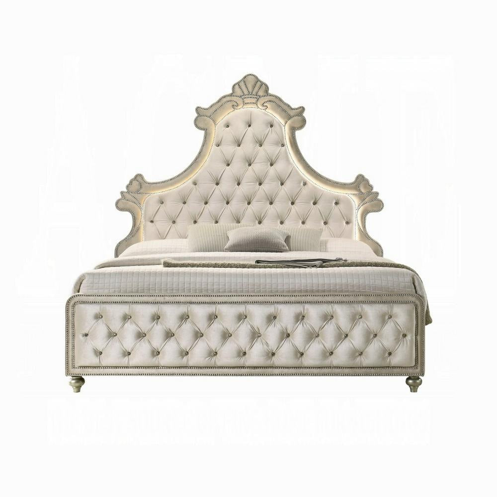 Willa Queen Size Bed LED Lights Beige Velvet Upholstery Brown Wood