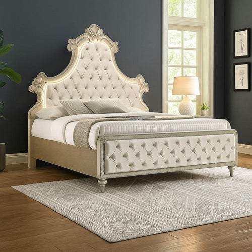 Willa Queen Size Bed, LED Lights, Beige Velvet Upholstery, Brown Wood