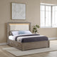 Keno Queen Bed, Upholstered LED Headboard, 4 Storage Drawers, Brown