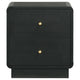 Cavy Nightstand 2 Storage Drawers Black Wood Round Gold Knobs BM328678