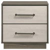 Fene Nightstand 2 Storage Drawers with Nickel Handles 24 Inch Gray BM328691