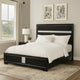 Vino Queen Size Bed, Panel Headboard, Black Upholstery, Glitter Stripe