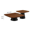 Eliana 2pc Coffee Table Set Walnut Brown Black Metal Frame BM329203