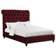 Damo Full Size Bed Red Wine Velvet Upholstered Chesterfield Headboard