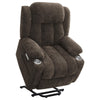 Limi Power Lift Recliner Chair Dark Brown USB Port Cupholders BM329617