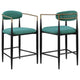 Tiara Counter Height Chair Set of 2, Teal Green, Black Metal 25 Inch