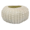 Harry Round Planter with Textured Design Glossy White Ceramic 13 Inch BM330144