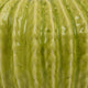 Decorative Planter, Melon Shape, Vertical Ribbed Texture, Green Ceramic