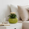 Decorative Planter, Melon Shape, Vertical Ribbed Texture, Green Ceramic