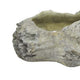 Paul Accent Planter with Driftwood Like Design Gray Terracotta 16 Inch