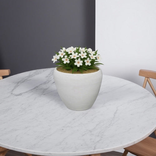 Garden Planter Set of 2, Modern Bowl Shaped Flower Pot, White Ceramic