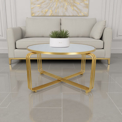 Plant Stand Coffee Table, 37 Inch Round Mirror Top, Modern Gold Metal